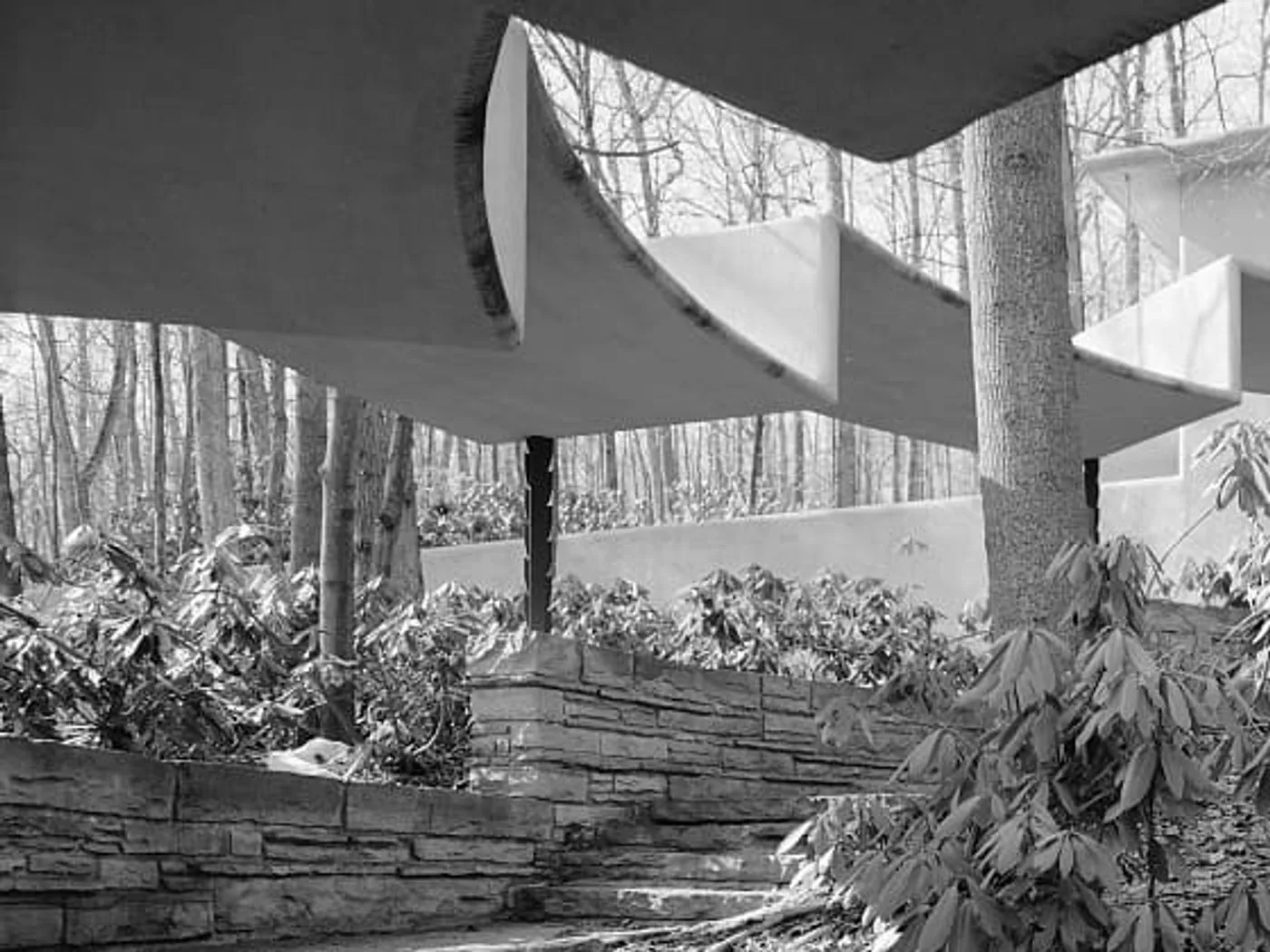 Concrete overhangs and stone steps under a thin canopy of trees.